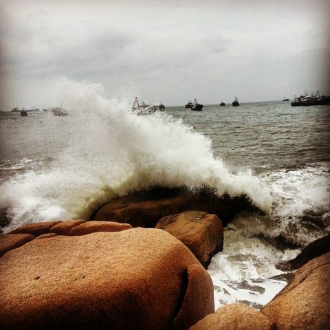 1458625_10151835908651220_2006511079_n