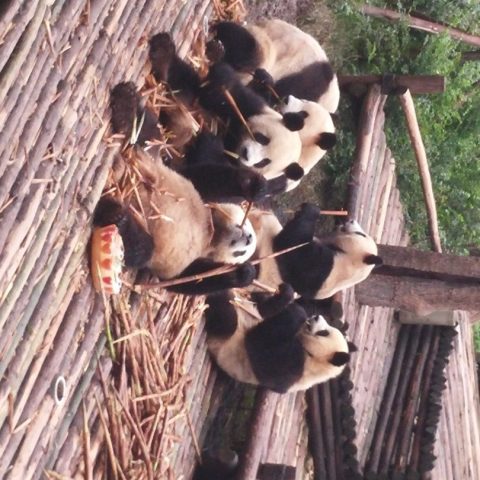 20150912_083744-e1446627026743-1