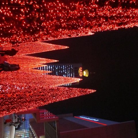 IMG_0439-e1387780613472