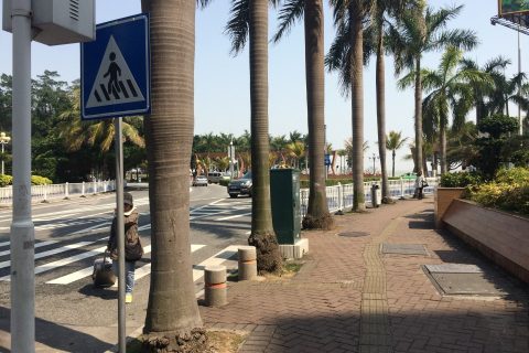 IMG_2976-2