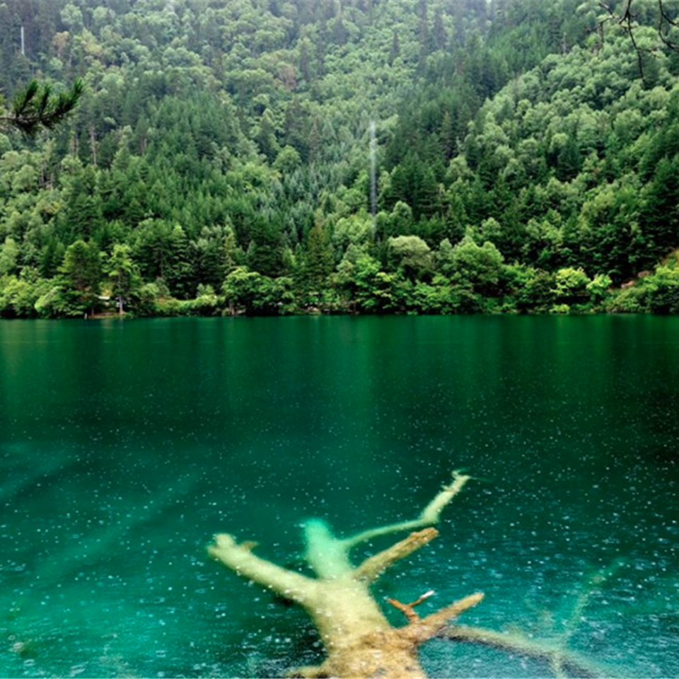 Screen-Shot-2016-07-20-at-10.18.46-AM