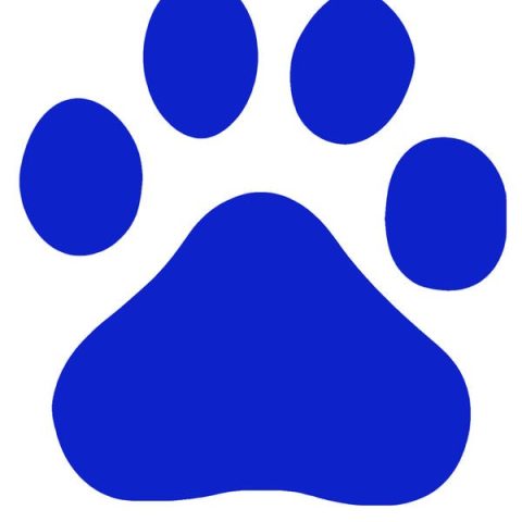 a08b87d6277f9e2f8c01a3ee1e30e924b899f324-2