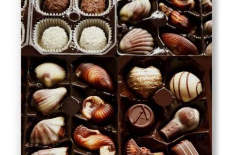 box_of_chocolate_posters-ra8aa40365b034ae0bbfc1c082acb2082_2t2mg_8byvr_512