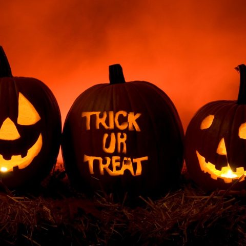 halloween-trick-or-treat-3