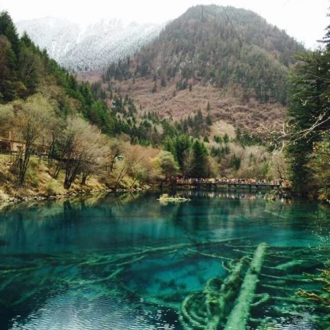 mmexport1433827242129