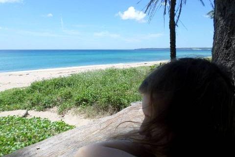 seaview2