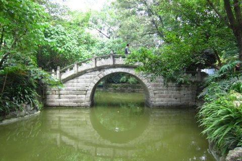 source-www.myeggnoodles.com_
