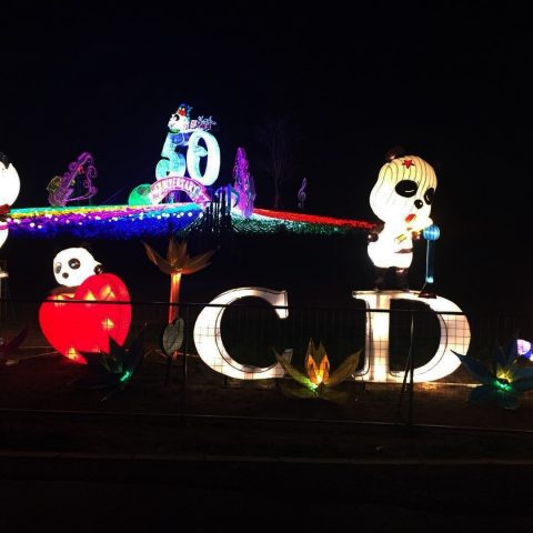InternChina-IHeartCD
