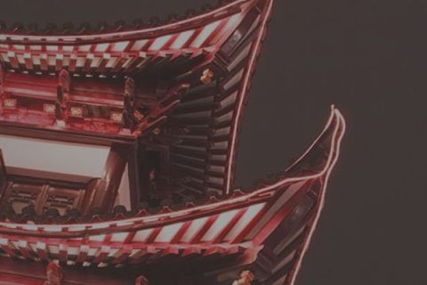 chinastrippp6