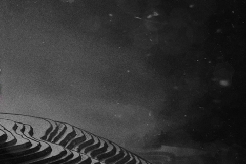 PP BW Backdrop