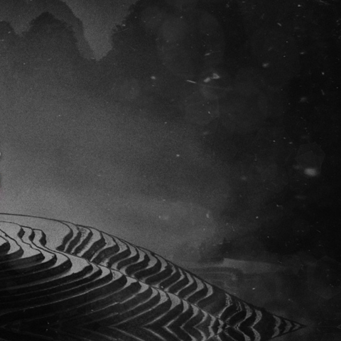 PP BW Backdrop