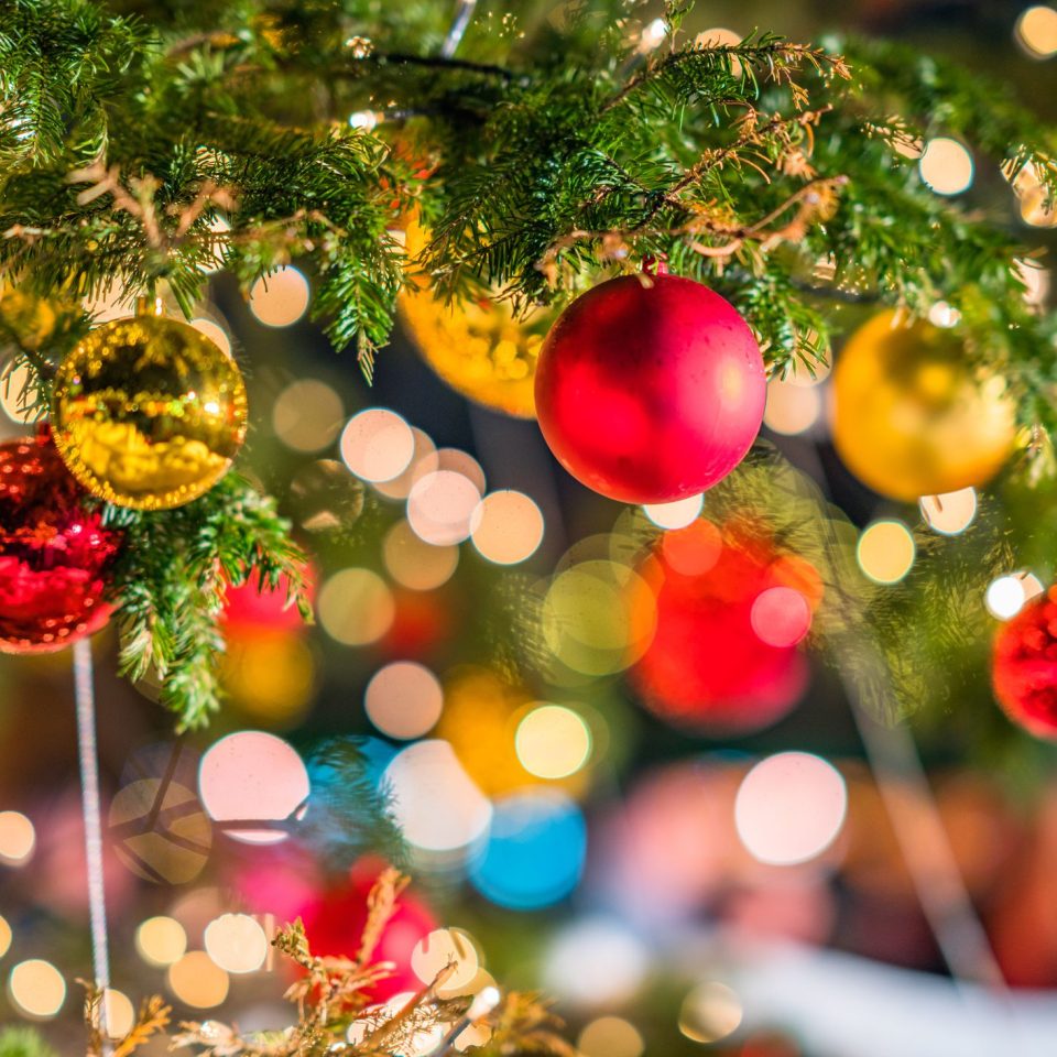 close-up-of-christmas-tree-898733426-5c79da8a46e0fb00018bd7fb