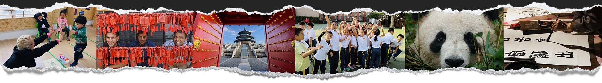 teach-strip-pc-2