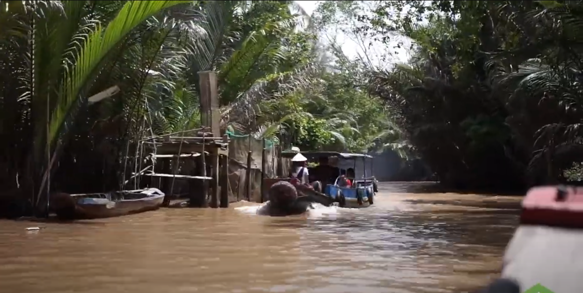 Mekong Delta Tour - Guided Trip from Ho Chi Minh City